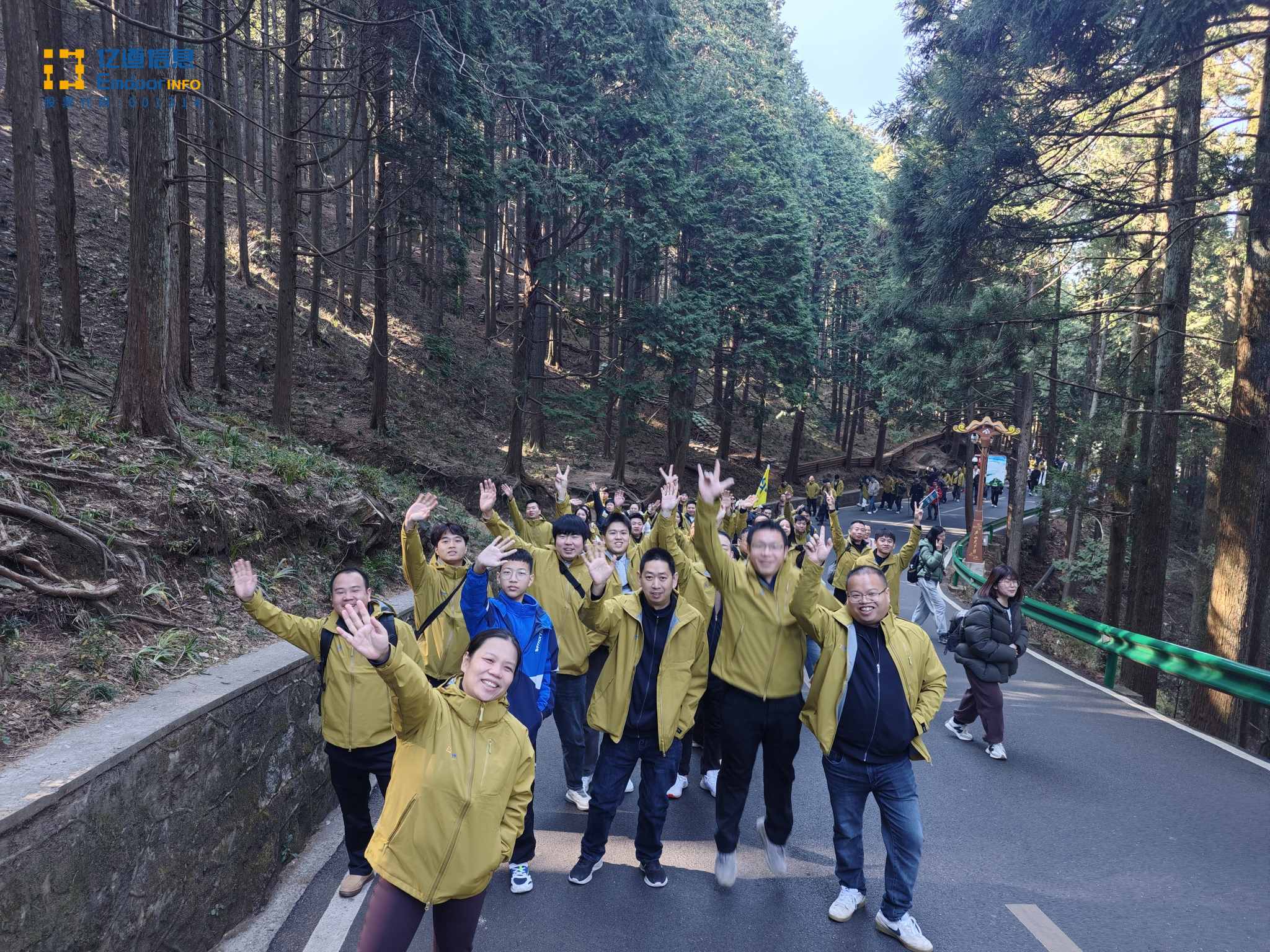 1765187205719635.jpg 1765187205719635.jpg